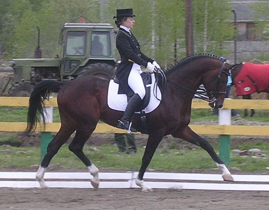 omurtag_trot.JPG
