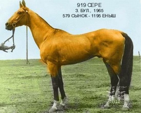 sere.jpg