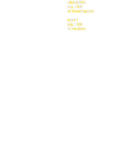 Гнездо Зори