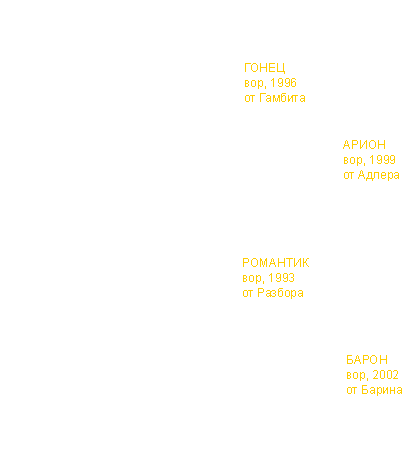 Гнездо Отчизны